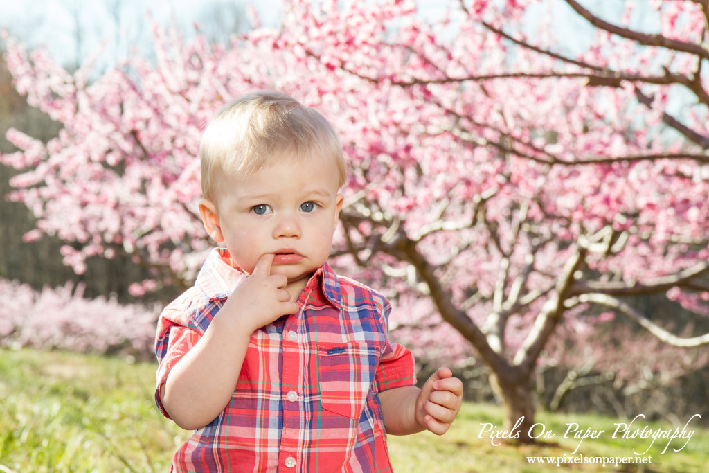 Tevepaugh Outdoor Family Portrait Photography photo