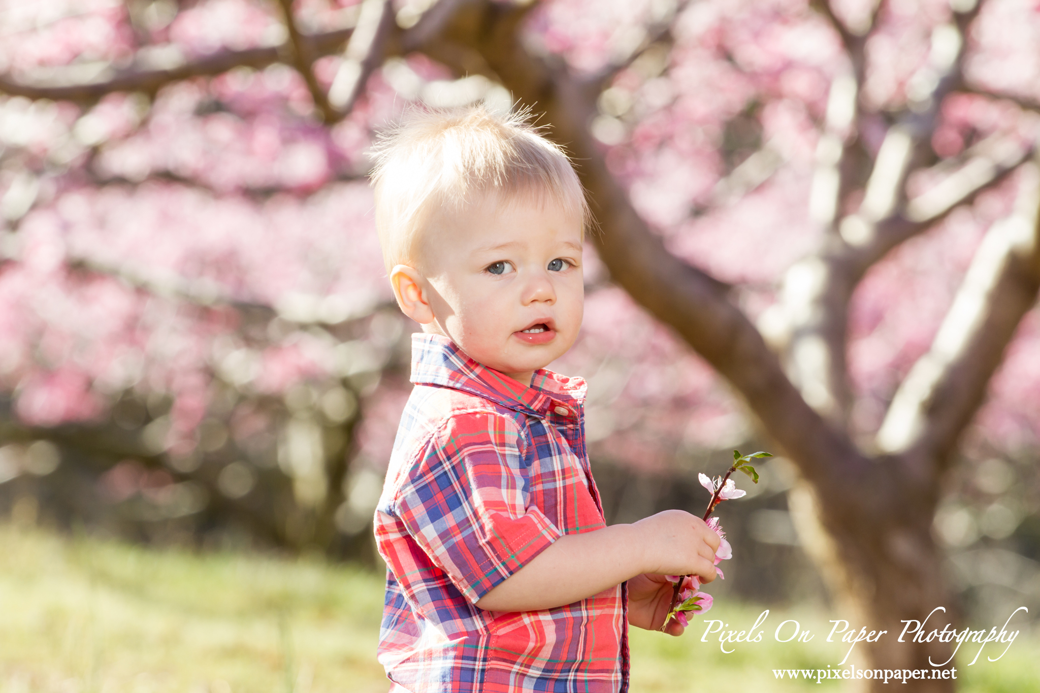 Tevepaugh Outdoor Family Portrait Photography photo