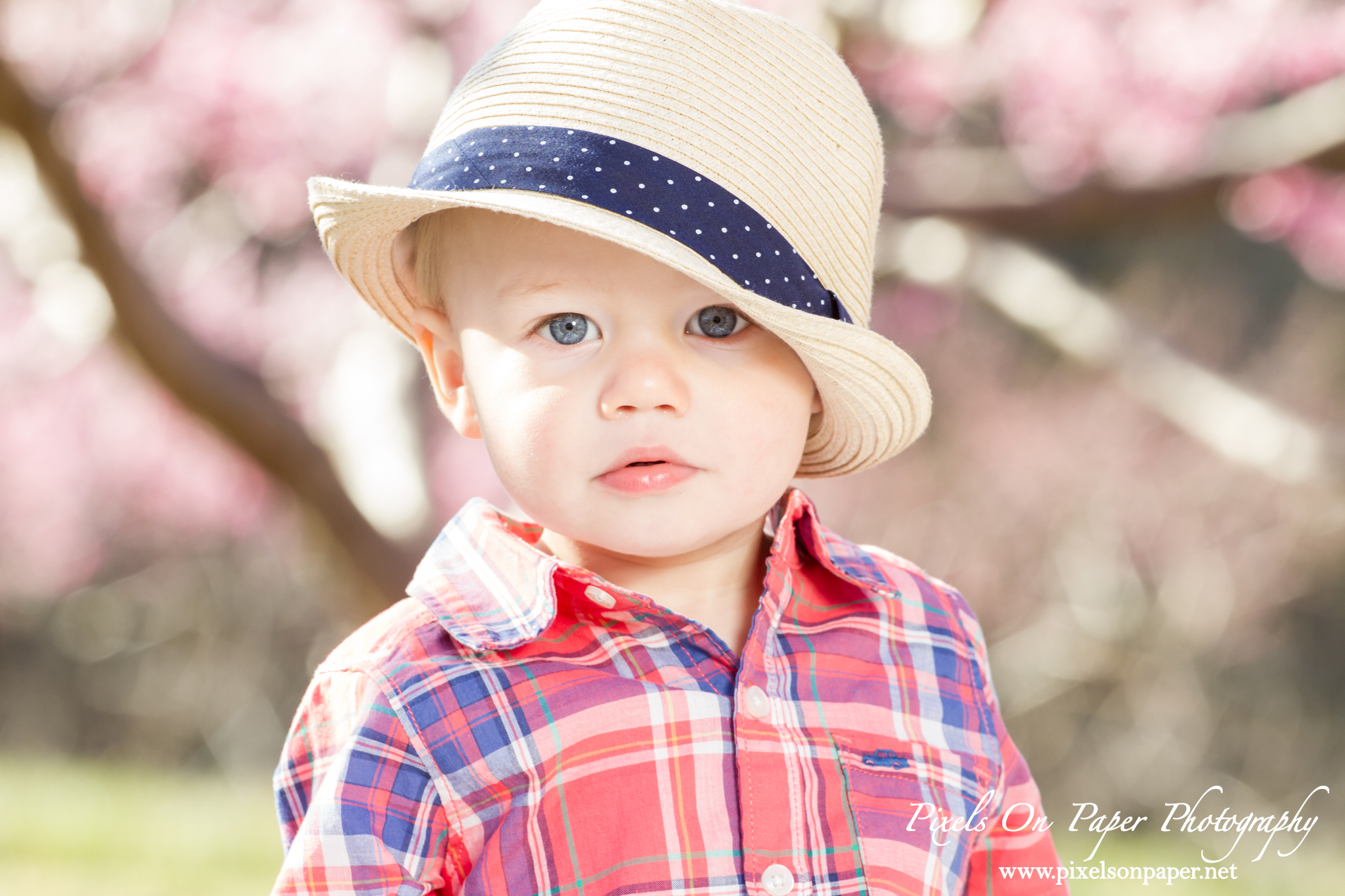 Tevepaugh Outdoor Family Portrait Photography photo