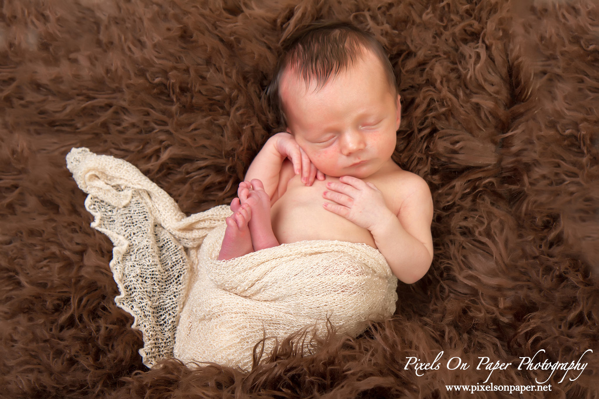 wilkesboro nc newborn baby portrait photographers photo
