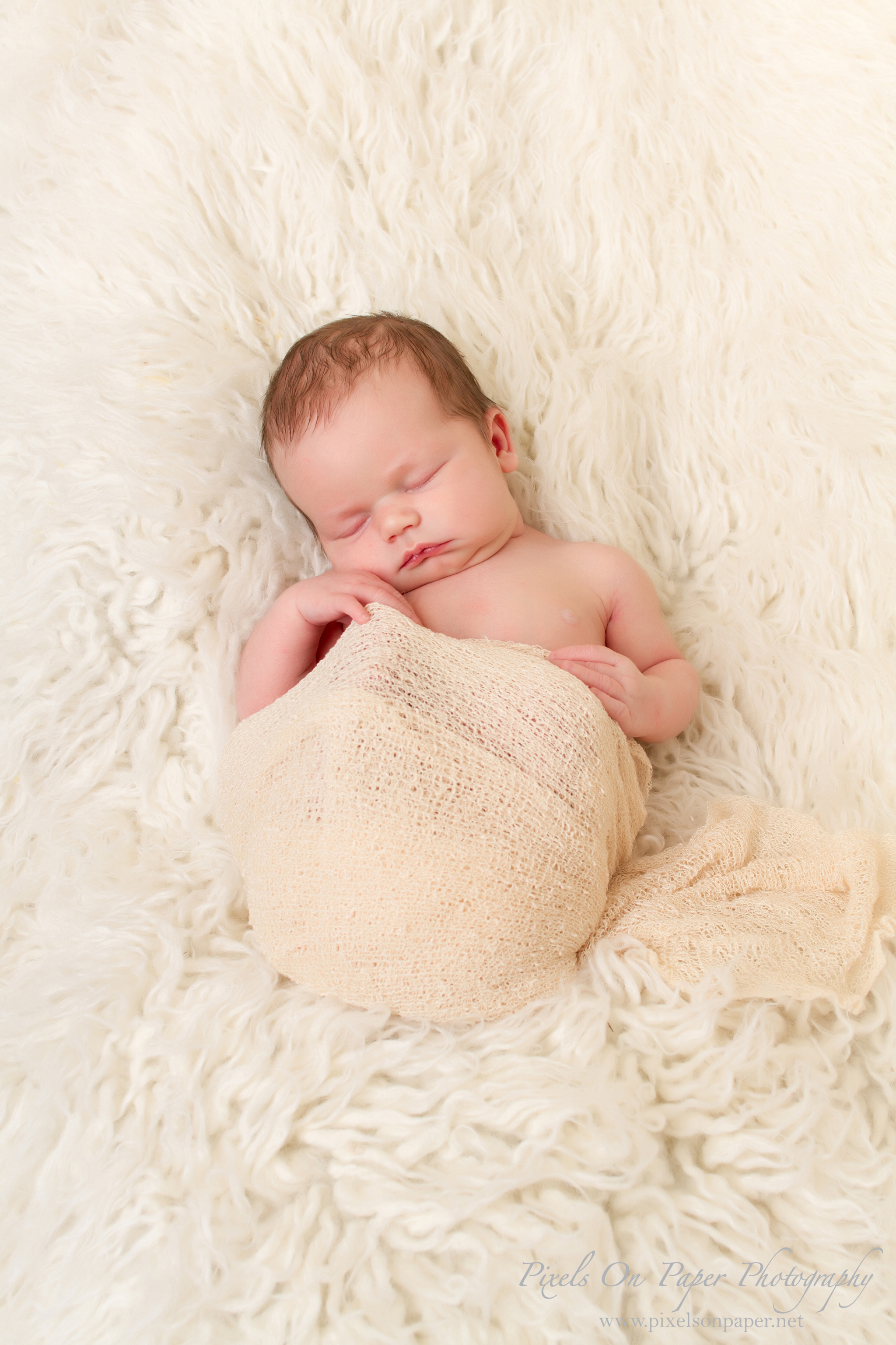 Wilkesboro, Boone, Blowing Rock, NC Newborn Photographers Pixels On Paper Portrait Photography photo