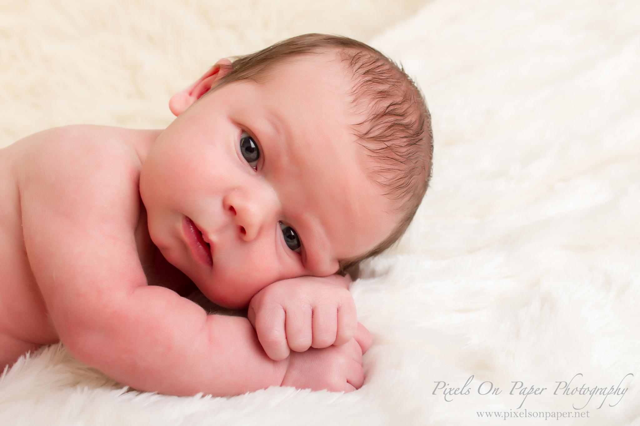 Wilkesboro, Boone, Blowing Rock, NC Newborn Photographers Pixels On Paper Portrait Photography photo