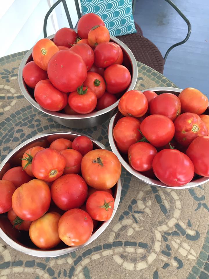 Pixels of Paper Summer 2016 Garden tomatoes