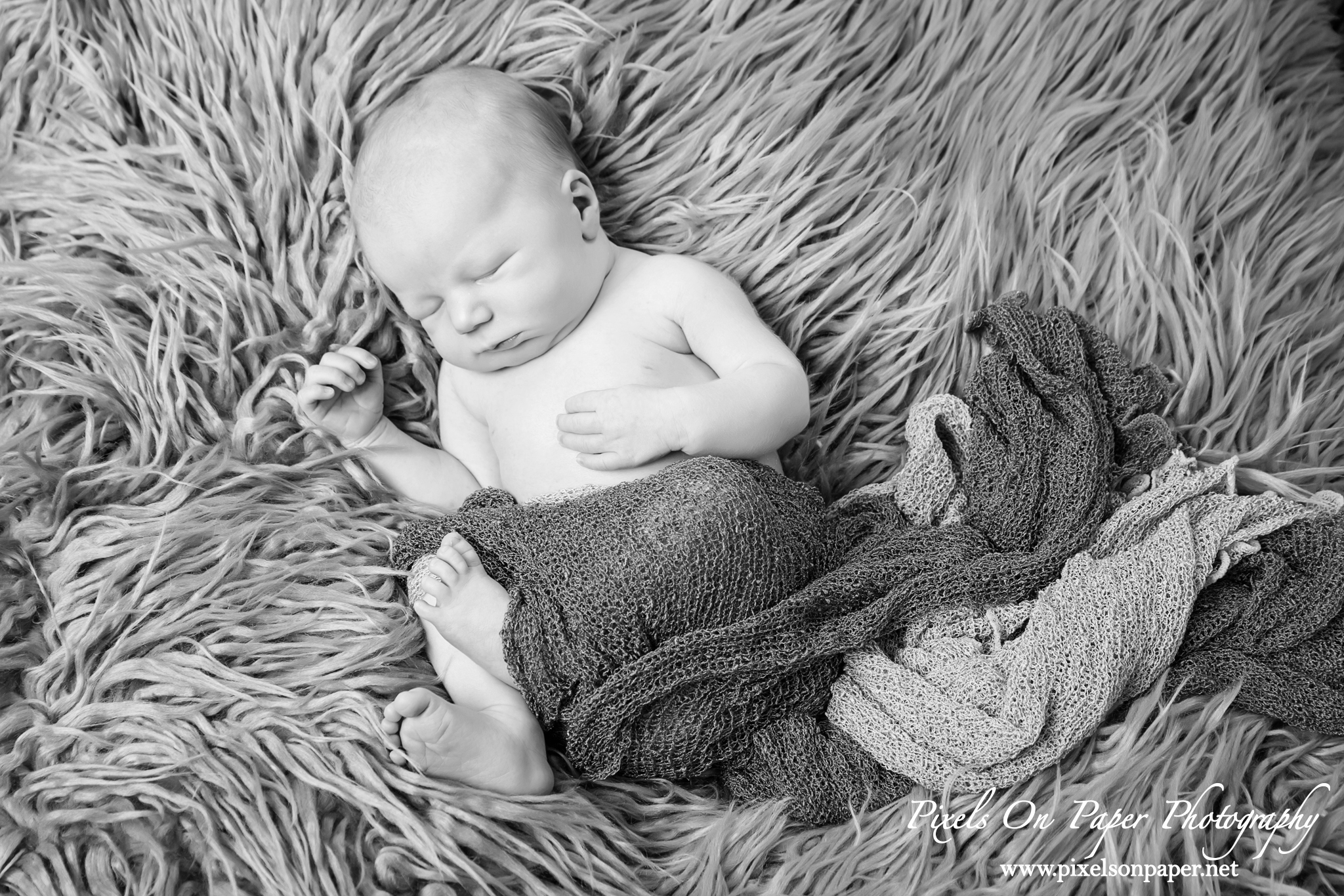 Newborn photography Wilkesboro NC Pixels On Paper Photographers photo