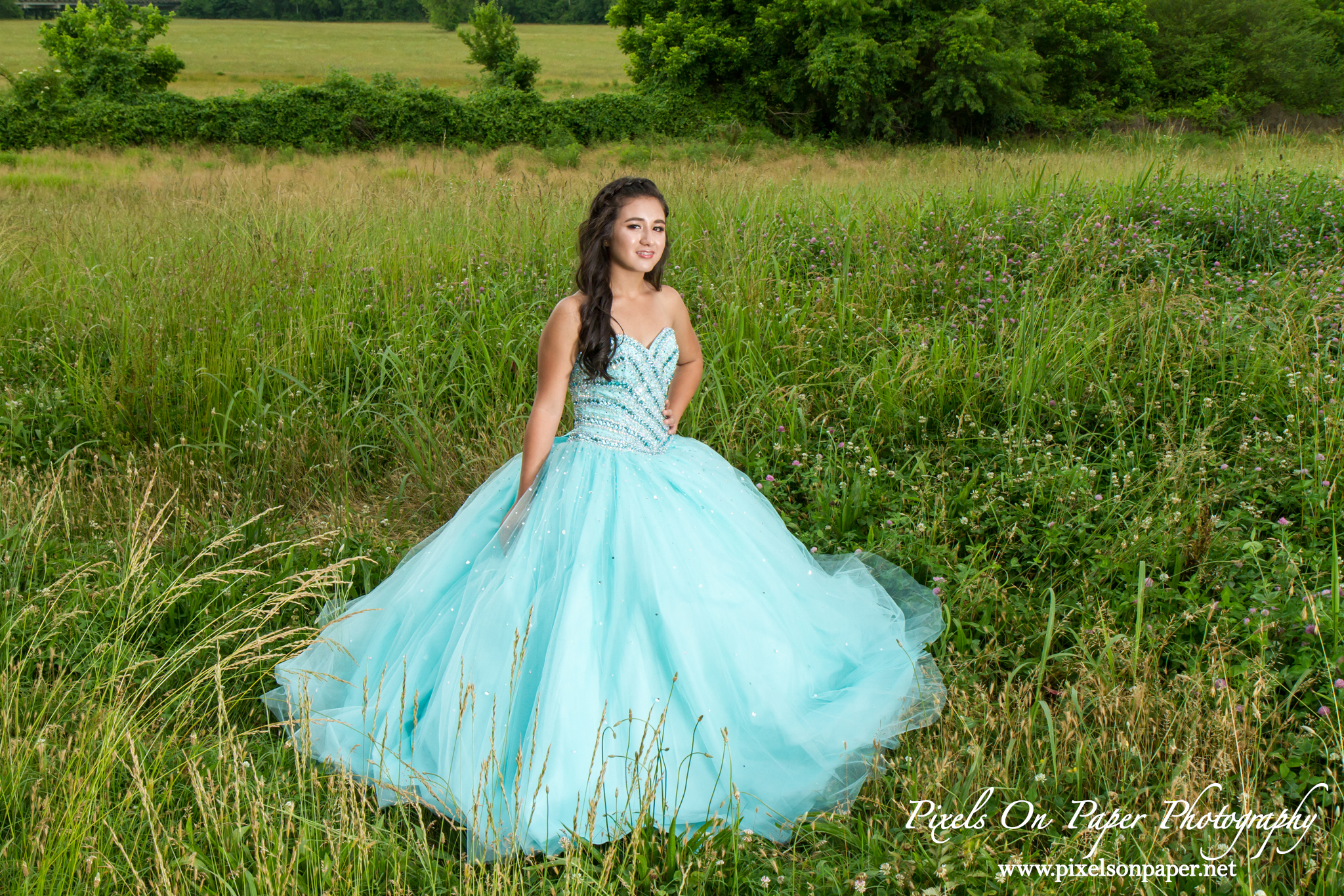 Young women in festive dress celebrate their 15th birthday, the Quinceanera  or Quince, Stock Photo, Picture And Rights Managed Image. Pic. IBR-4346005