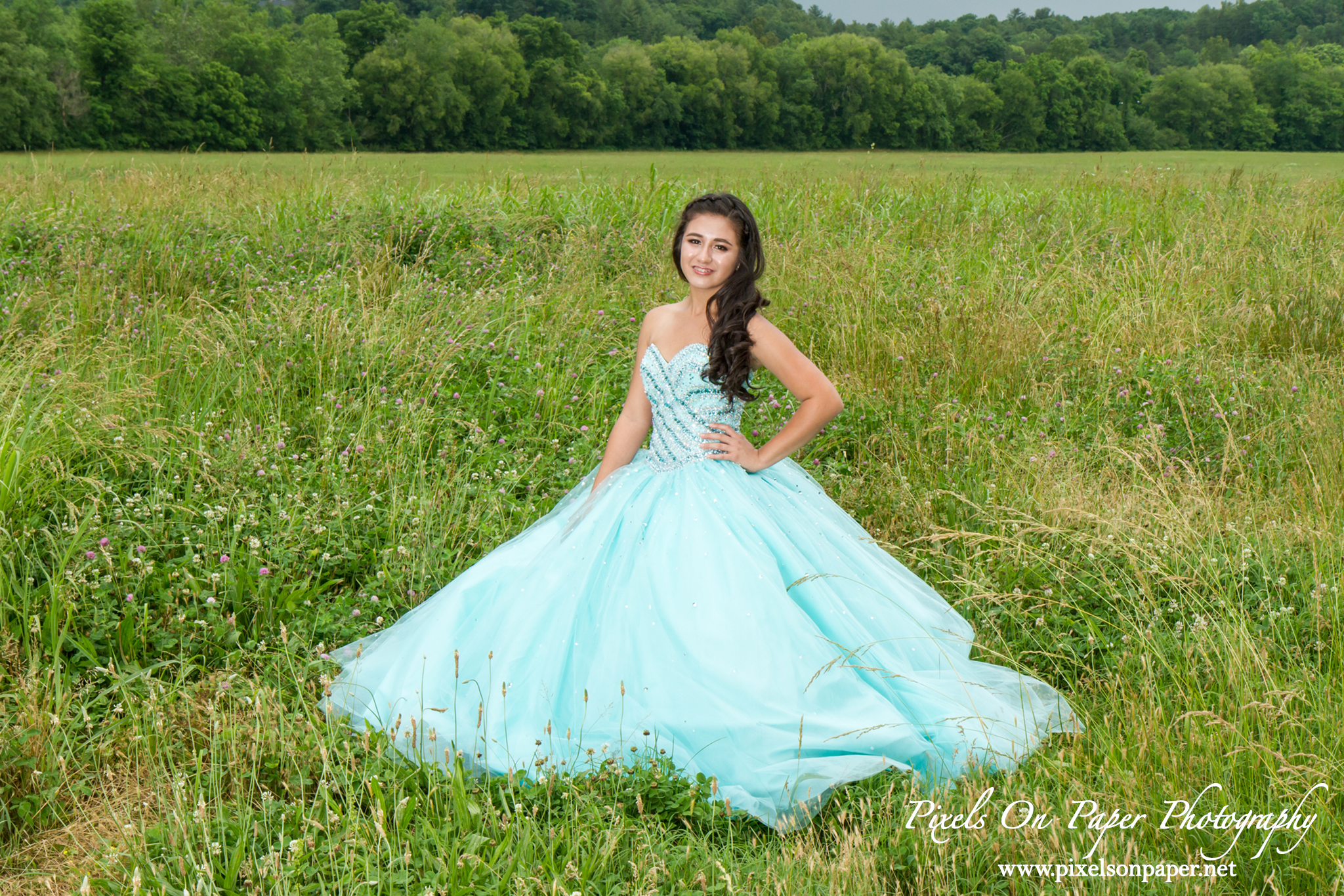  Quinceanera dress pictures Pixels On Paper photograpers Wilkesboro, Boone, Winston Salem NC photo