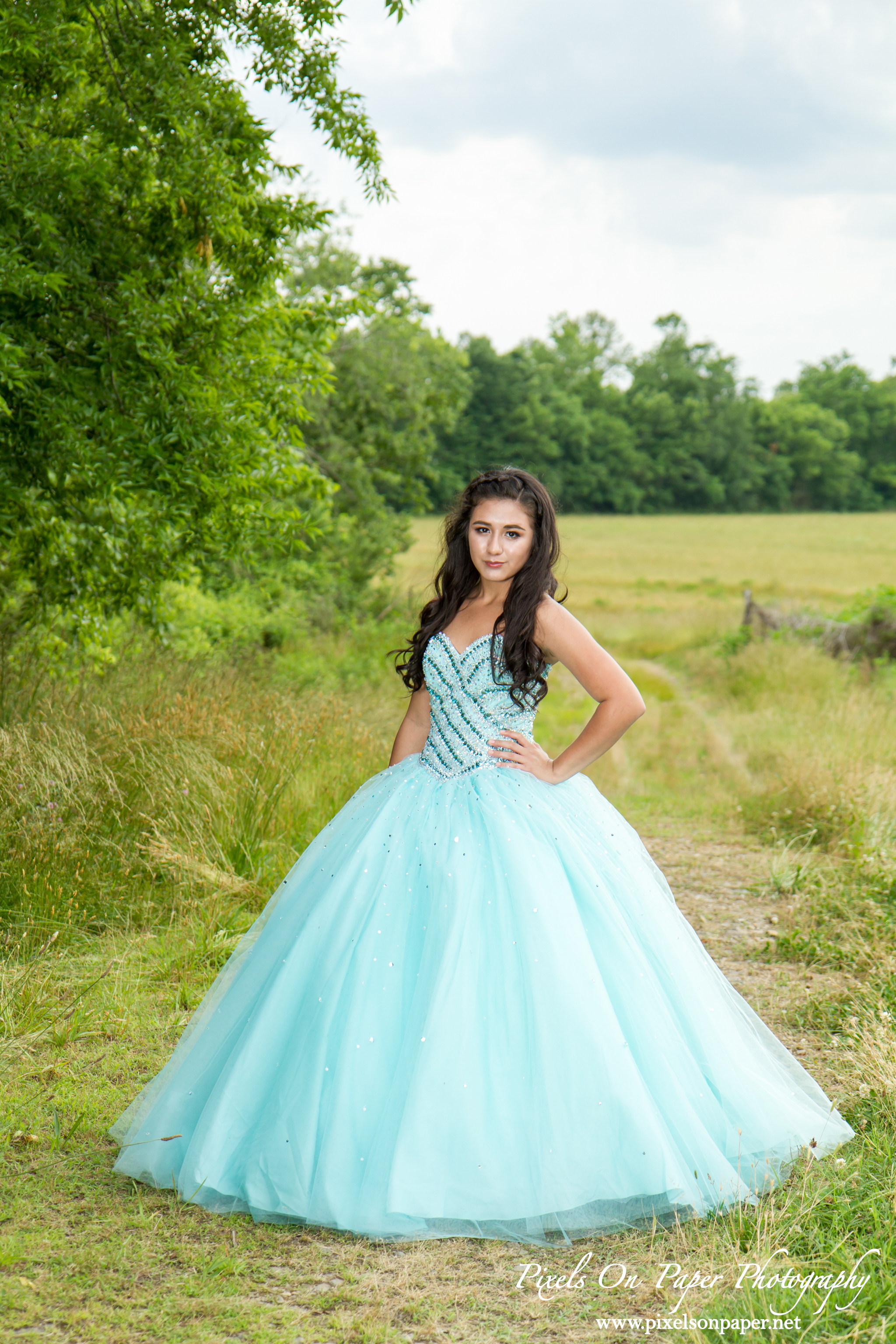  Quinceanera dress pictures Pixels On Paper photograpers Wilkesboro, Boone, Winston Salem NC photo