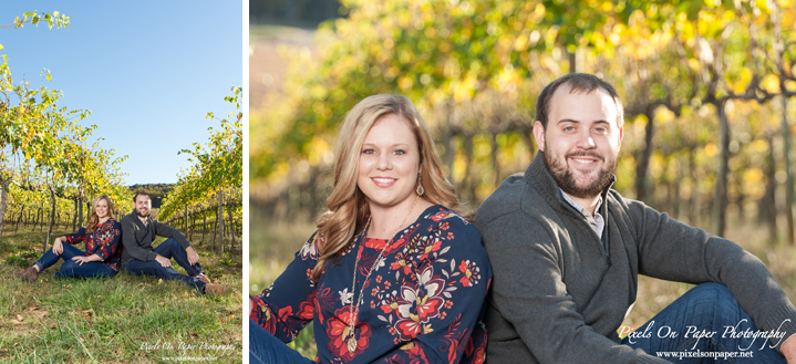 Pixels On Paper Wilkesboro NC Wedding photographers Piccione Vineyards outdoor Engagement portrait photography photo