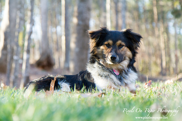 pet and family lifestyle documentary outdoor portrait photo