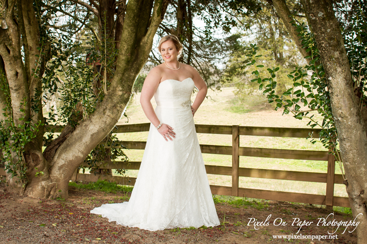 Kendra Green Bell Pixels On Paper Photography Wilkesboro NC Bride Bridal portrait photo