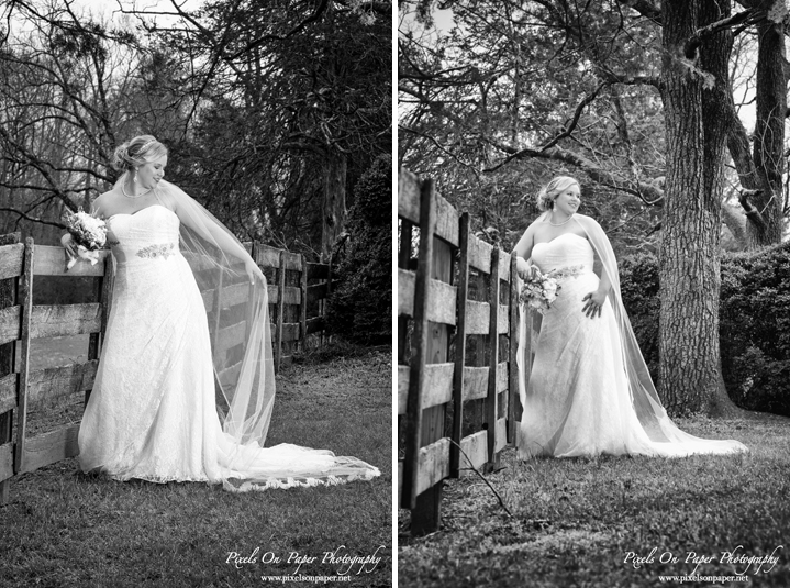 Kendra Green Bell Pixels On Paper Photography Wilkesboro NC Bride Bridal portrait photo