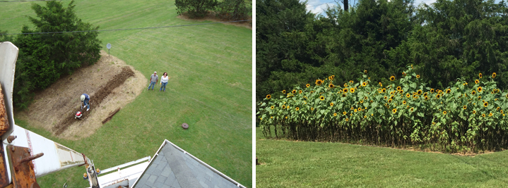 Pixels On Paper Wilkesboro NC portrait studio wedding photographers outdoor garden photo 