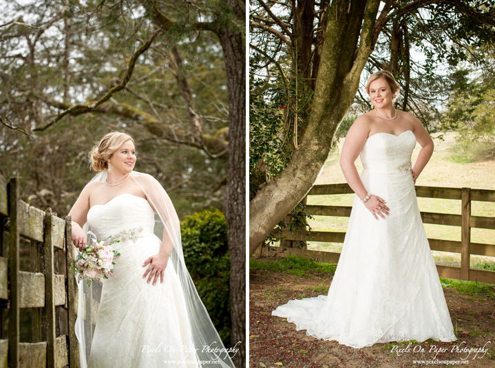Kendra Green Bell Pixels On Paper Photography Wilkesboro NC Bride Bridal portrait photo