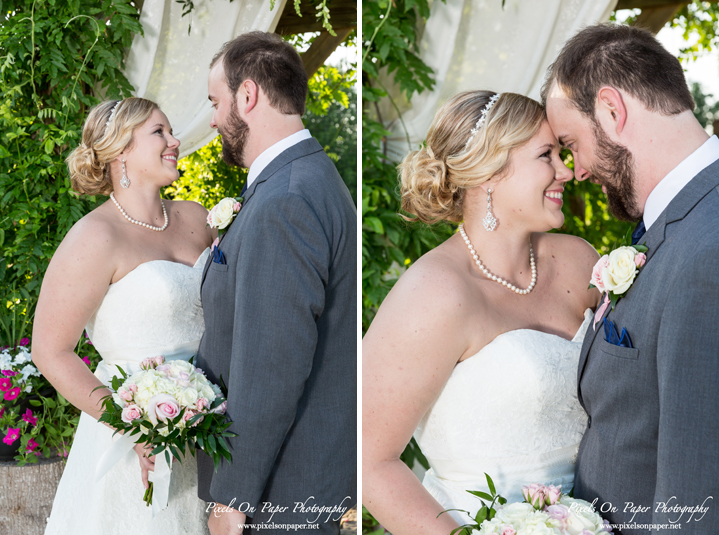 Kendra and Nathan's Barn at Blueberry Hill Elkin Outdoor Wedding Pixels On Paper Photography NC wedding photographers photo