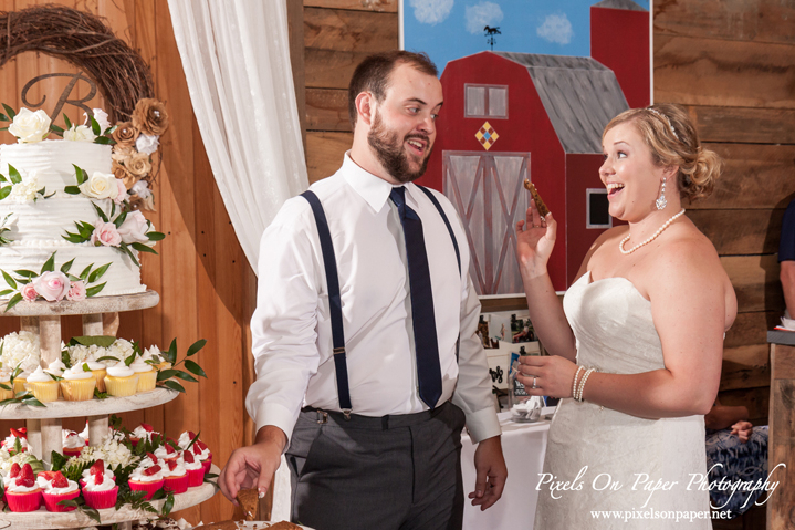 Kendra and Nathan's Barn at Blueberry Hill Elkin Outdoor Wedding Pixels On Paper Photography NC wedding photographers photo