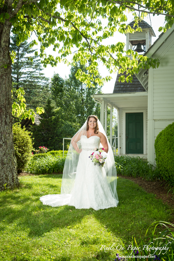 Madi Ball Pixels On Paper Photography Bride Outdoor Bridal portrait photography West Jefferson NC photo