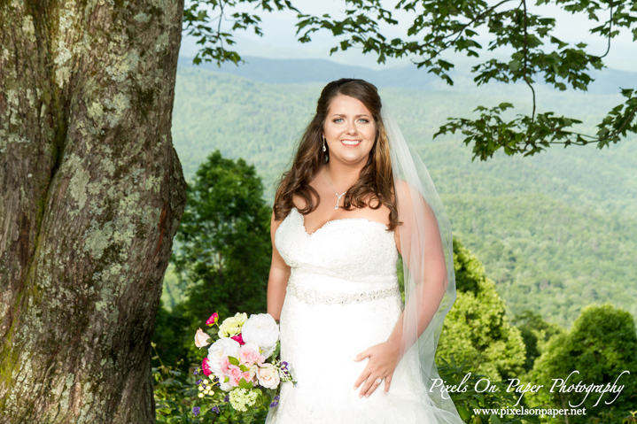 Madi Ball Pixels On Paper Photography Bride Outdoor Bridal portrait photography West Jefferson NC photo