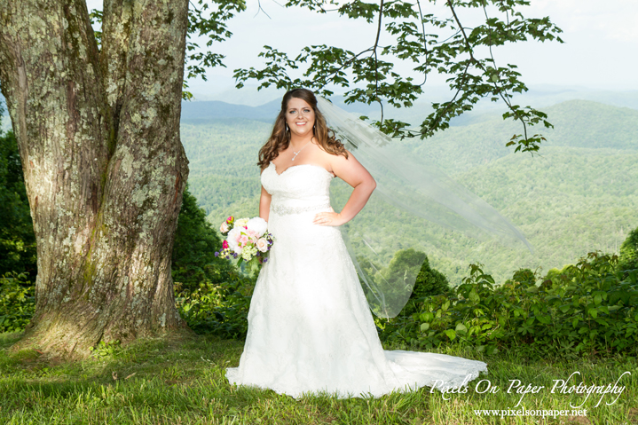 Madi Ball Pixels On Paper Photography Bride Outdoor Bridal portrait photography West Jefferson NC photo