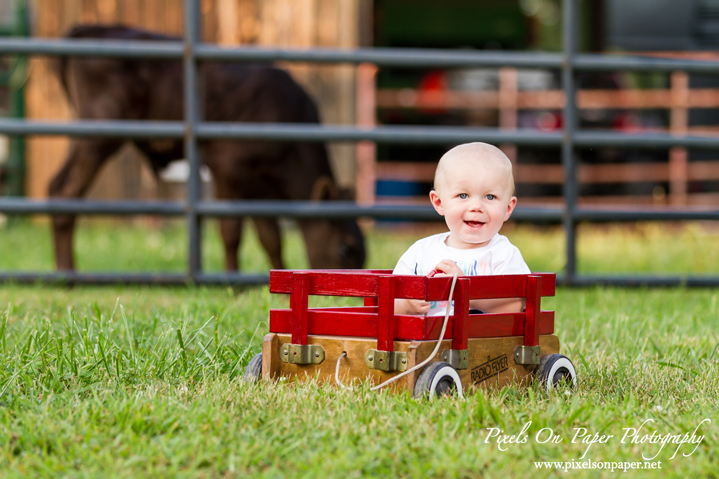 one year child photographers outdoor family portraits pixels on paper boone blowing rock wilkesboro nc photographers photo