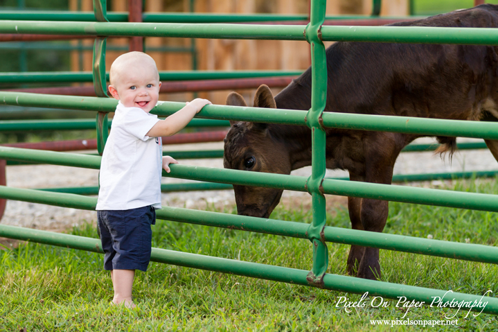 one year child photographers outdoor family portraits pixels on paper boone blowing rock wilkesboro nc photographers photo