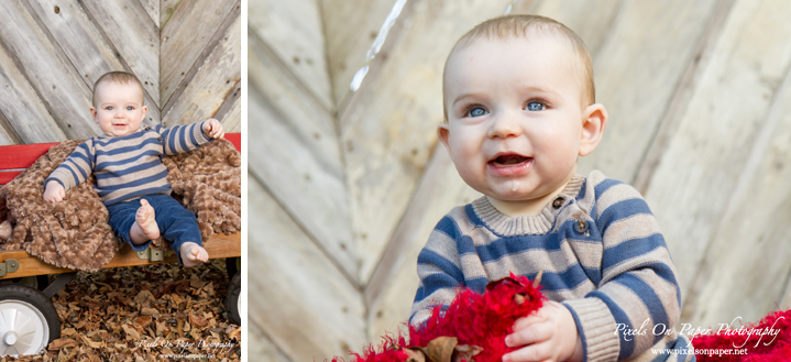 Pixels On Paper Photographers Six Month Outdoor Fall Child Portrait Wilkesboro NC Photography Photo