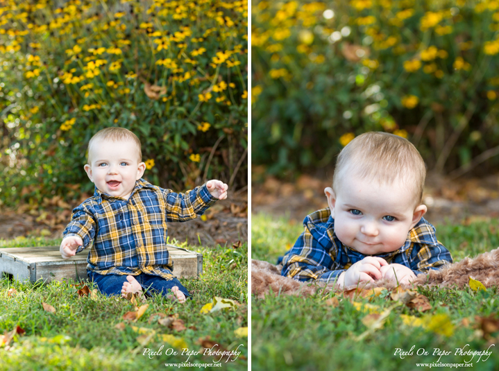 Pixels On Paper Photographers Six Month Outdoor Fall Child Portrait Wilkesboro NC Photography Photo