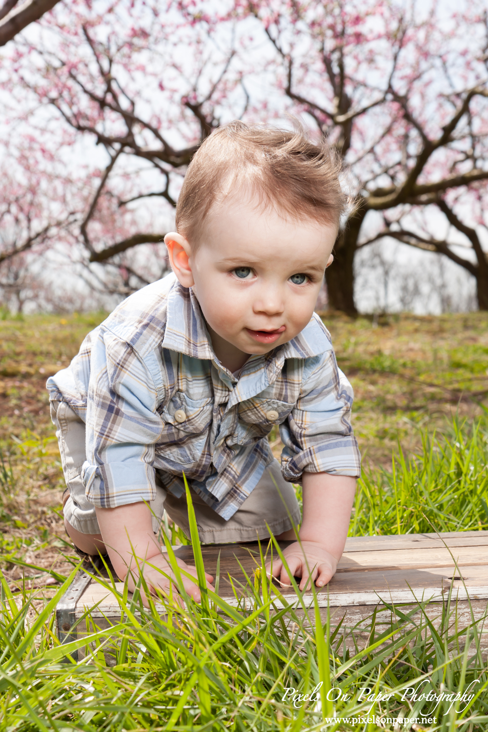 Pixels On Paper Photography Gavin Mendieta One Year Cake Smash Outdoor Portrait Photos