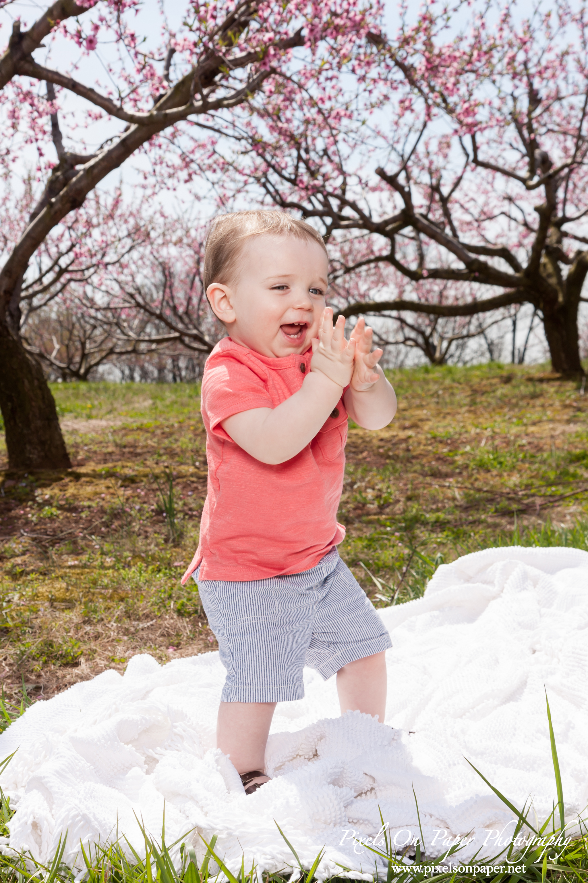 Pixels On Paper Photography Gavin Mendieta One Year Cake Smash Outdoor Portrait Photos