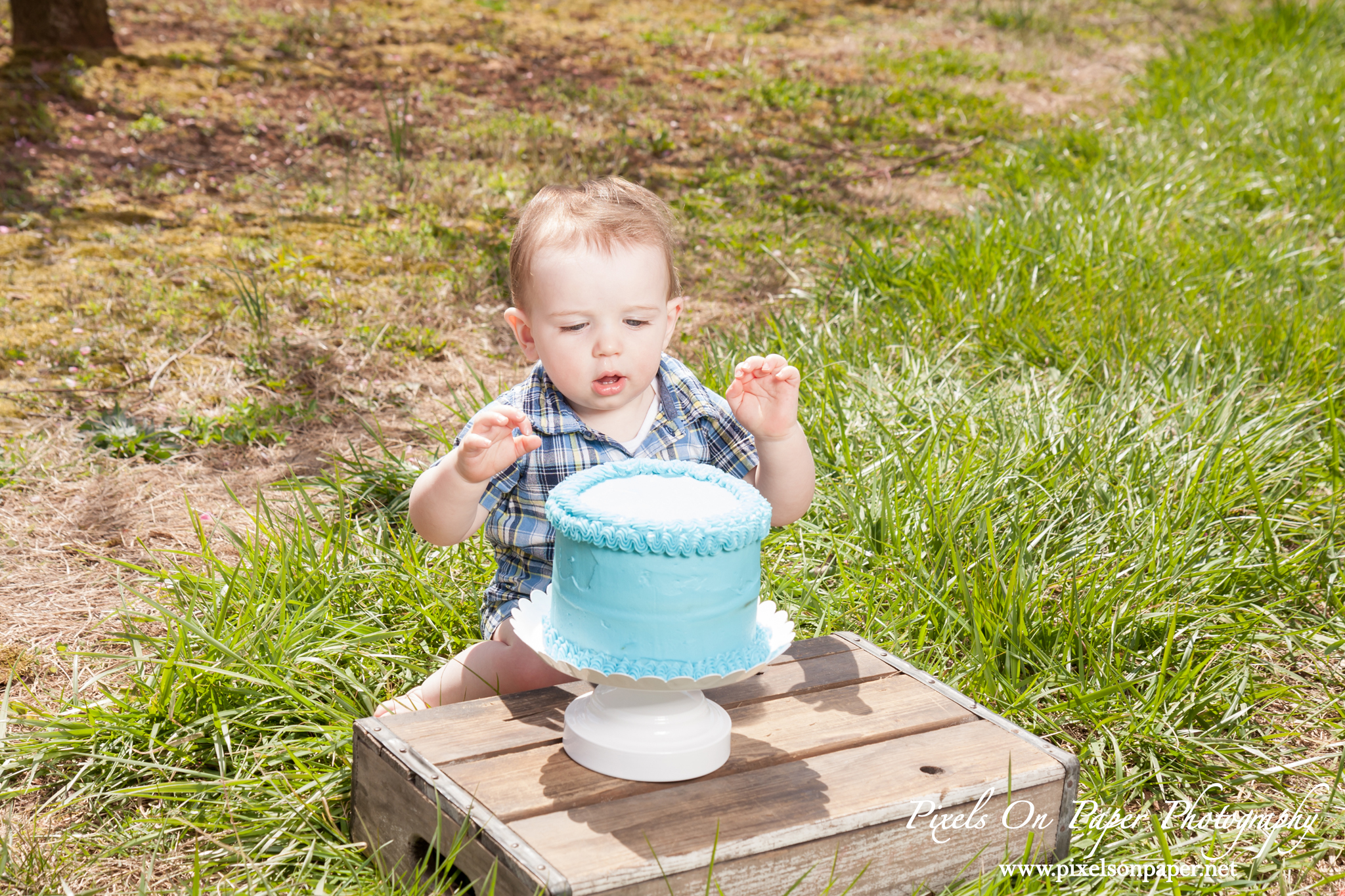 Pixels On Paper Photography Gavin Mendieta One Year Cake Smash Outdoor Portrait Photos