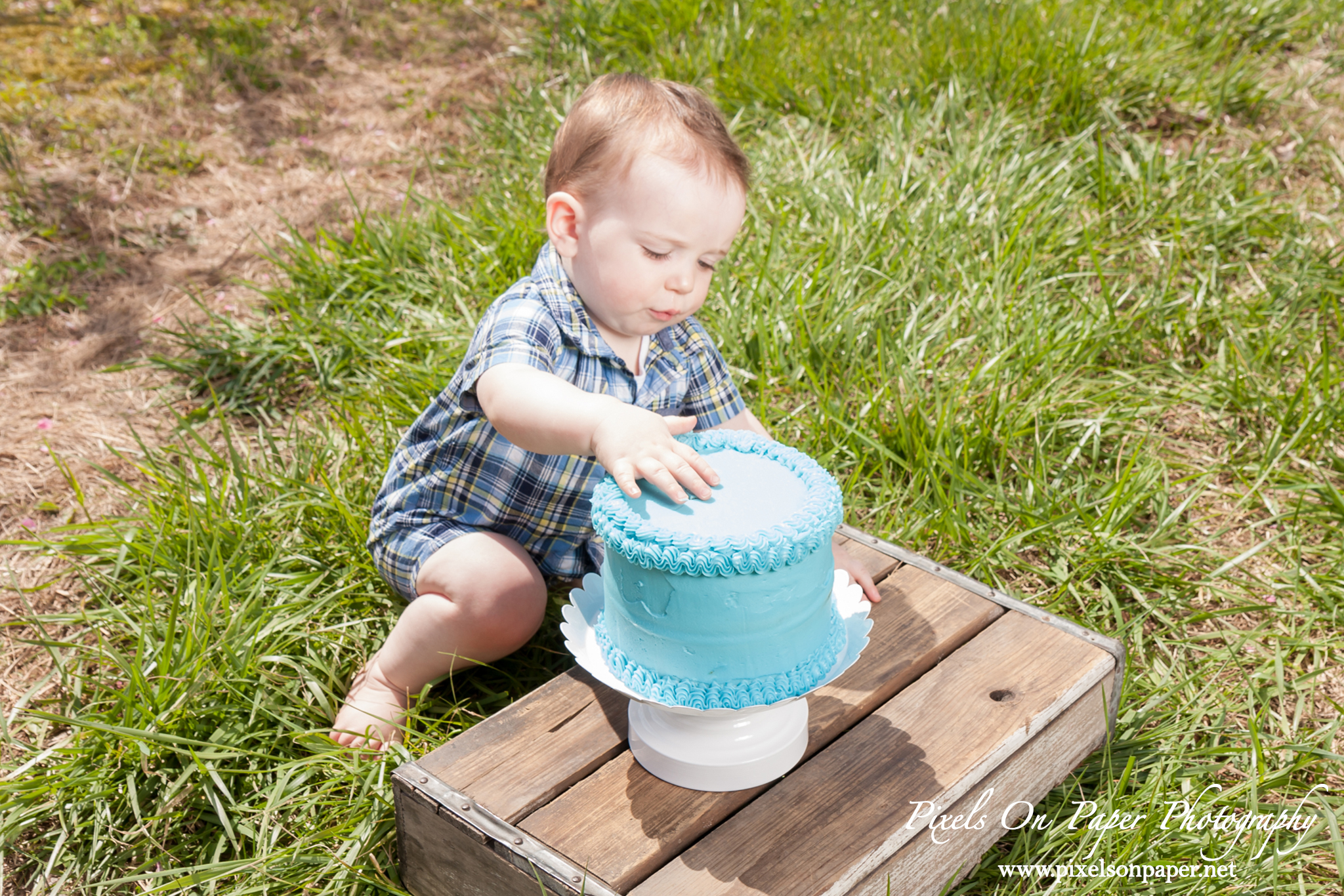 Pixels On Paper Photography Gavin Mendieta One Year Cake Smash Outdoor Portrait Photos