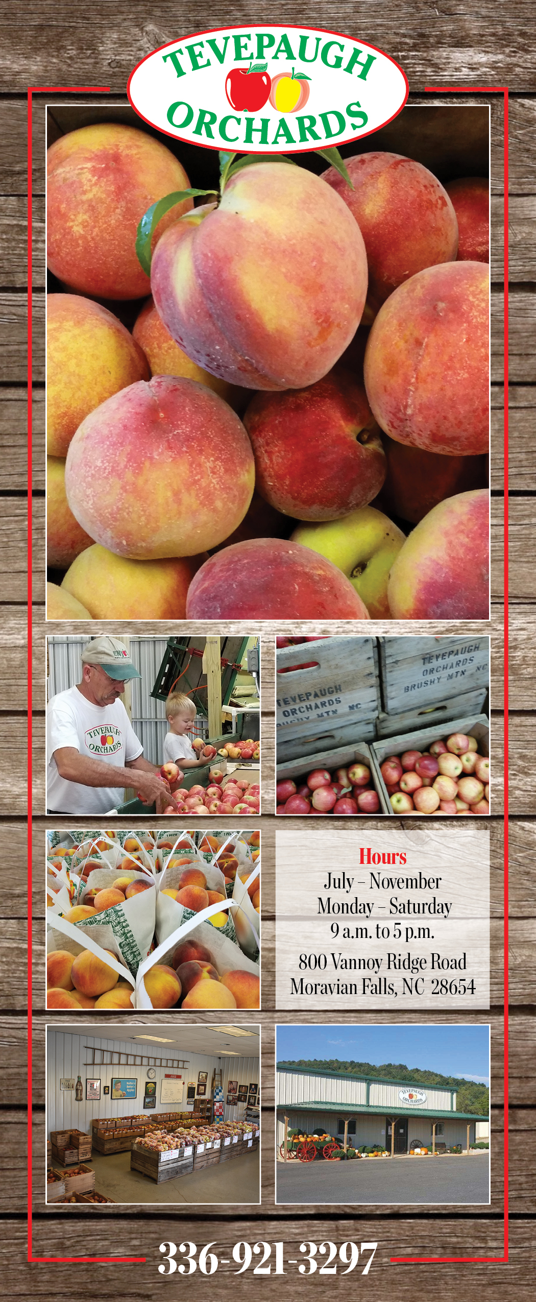 Tevepaugh Orchards rack card brochure graphic design photo