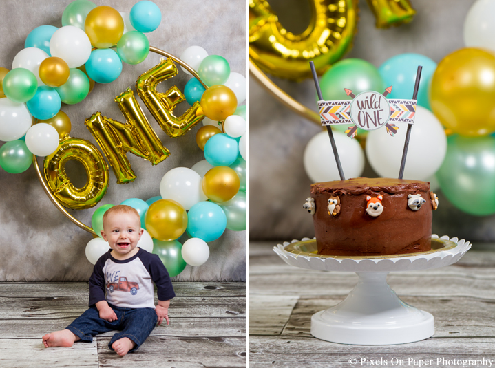 one year cake smash photographers photo