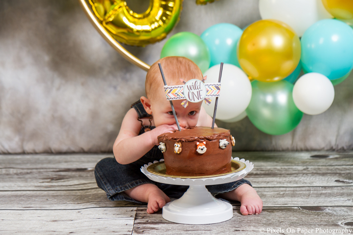 one year cake smash photographers photo