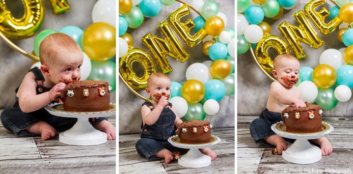 one year cake smash photographers photo