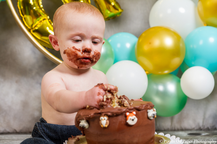 one year cake smash photographers photo