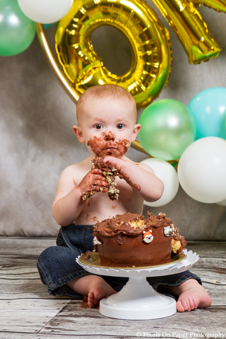 one year cake smash photographers photo