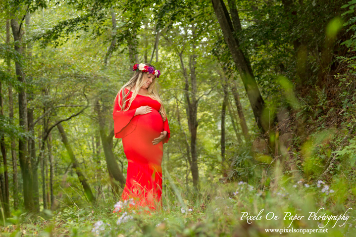 Pixels On Paper Photography Wilkesboro NC outdoor NC Mountain maternity photo
