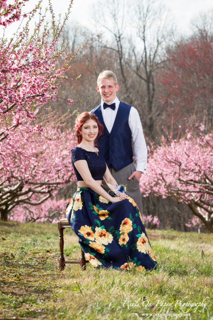 Trivette peach orchard Prom portrait photography by Wilkesboro NC portrait Photographers Pixels On Paper photo