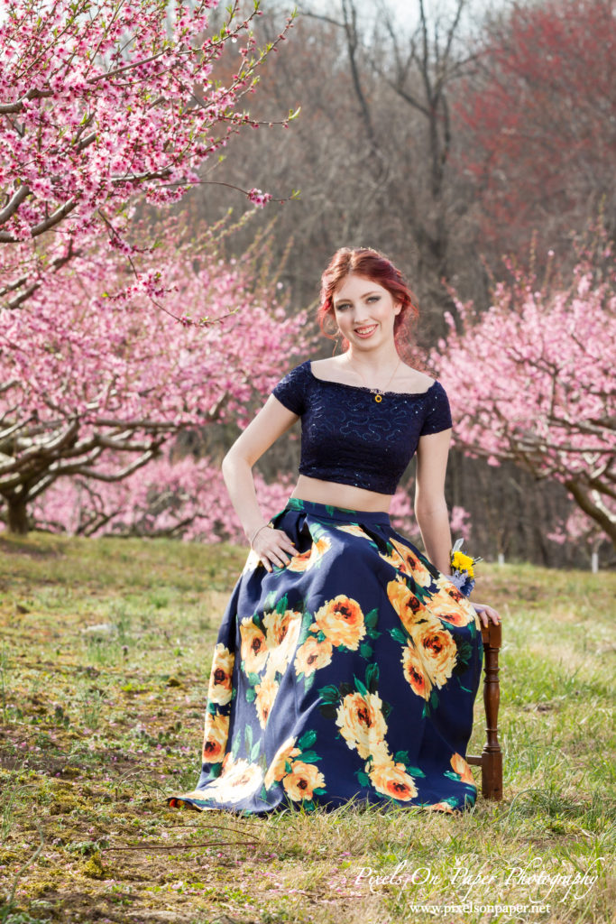 Trivette peach orchard Prom portrait photography by Wilkesboro NC portrait Photographers Pixels On Paper photo