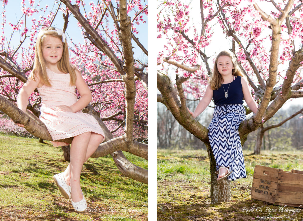 pixels on paper photographers overby family outdoor peach orchard portrait photo