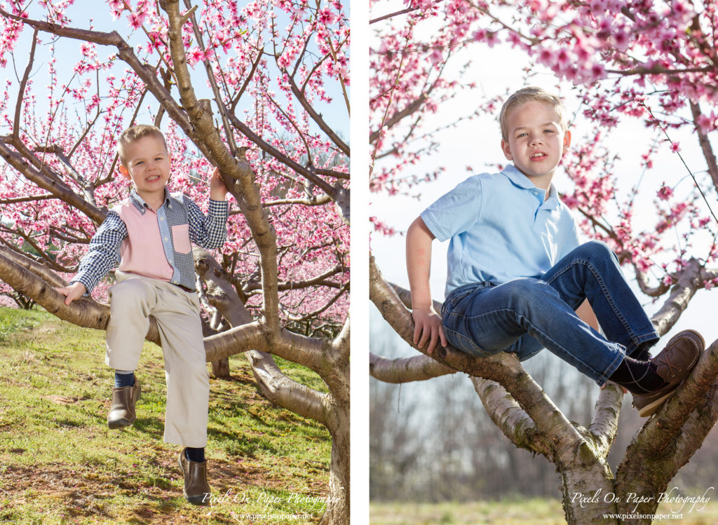 pixels on paper photographers overby family outdoor peach orchard portrait photo