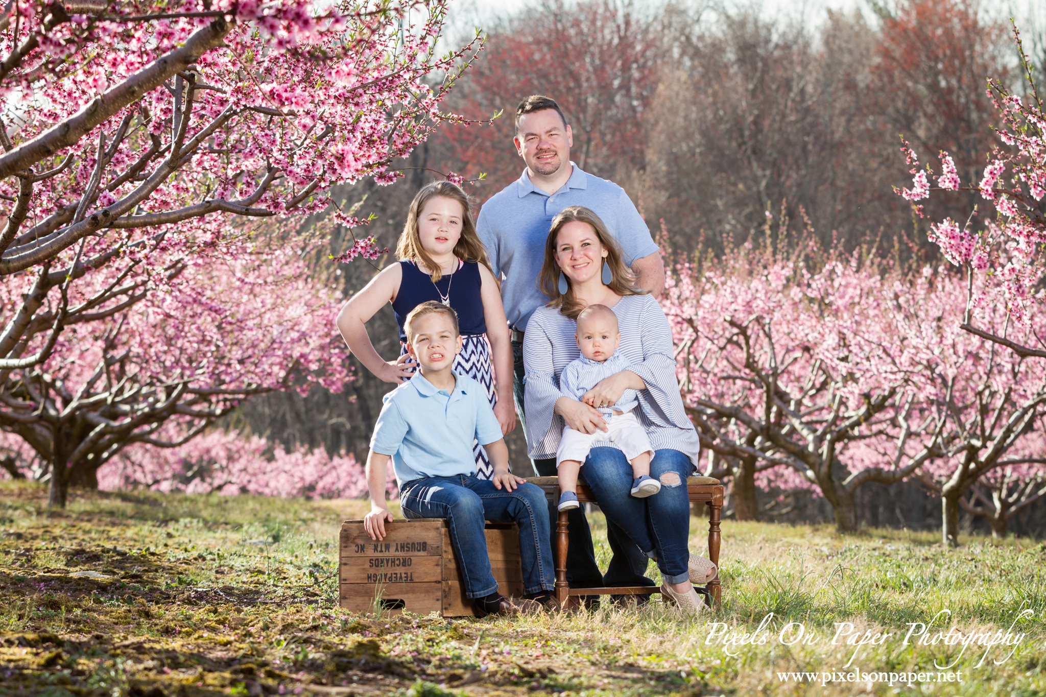 pixels on paper photographers overby family outdoor peach orchard portrait photo