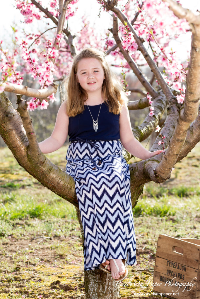 pixels on paper photographers overby family outdoor peach orchard portrait photo