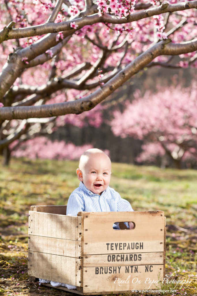 pixels on paper photographers overby family outdoor peach orchard portrait photo