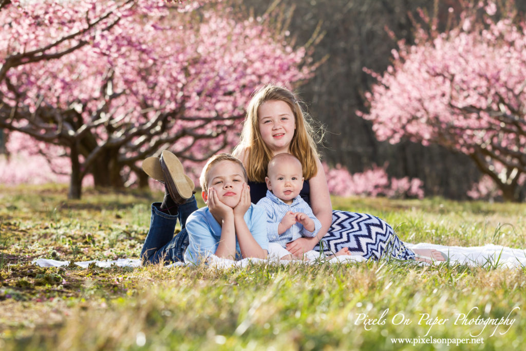 pixels on paper photographers overby family outdoor peach orchard portrait photo