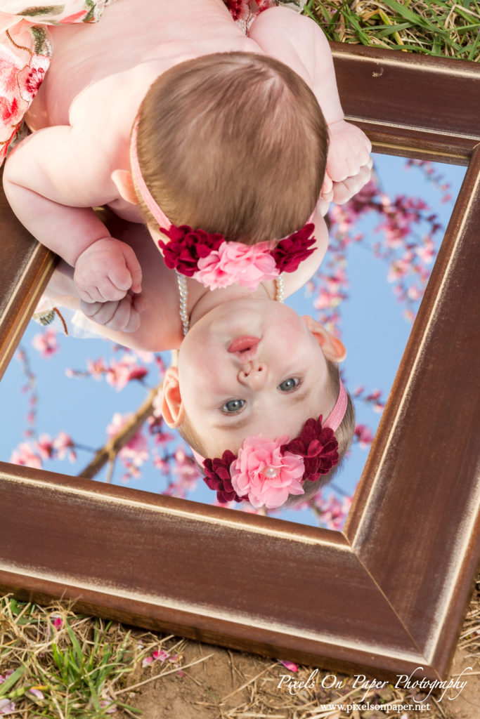 pixels on paper photographers baby senter family outdoor peach orchard portrait photo