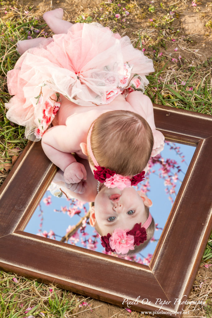 pixels on paper photographers baby senter family outdoor peach orchard portrait photo