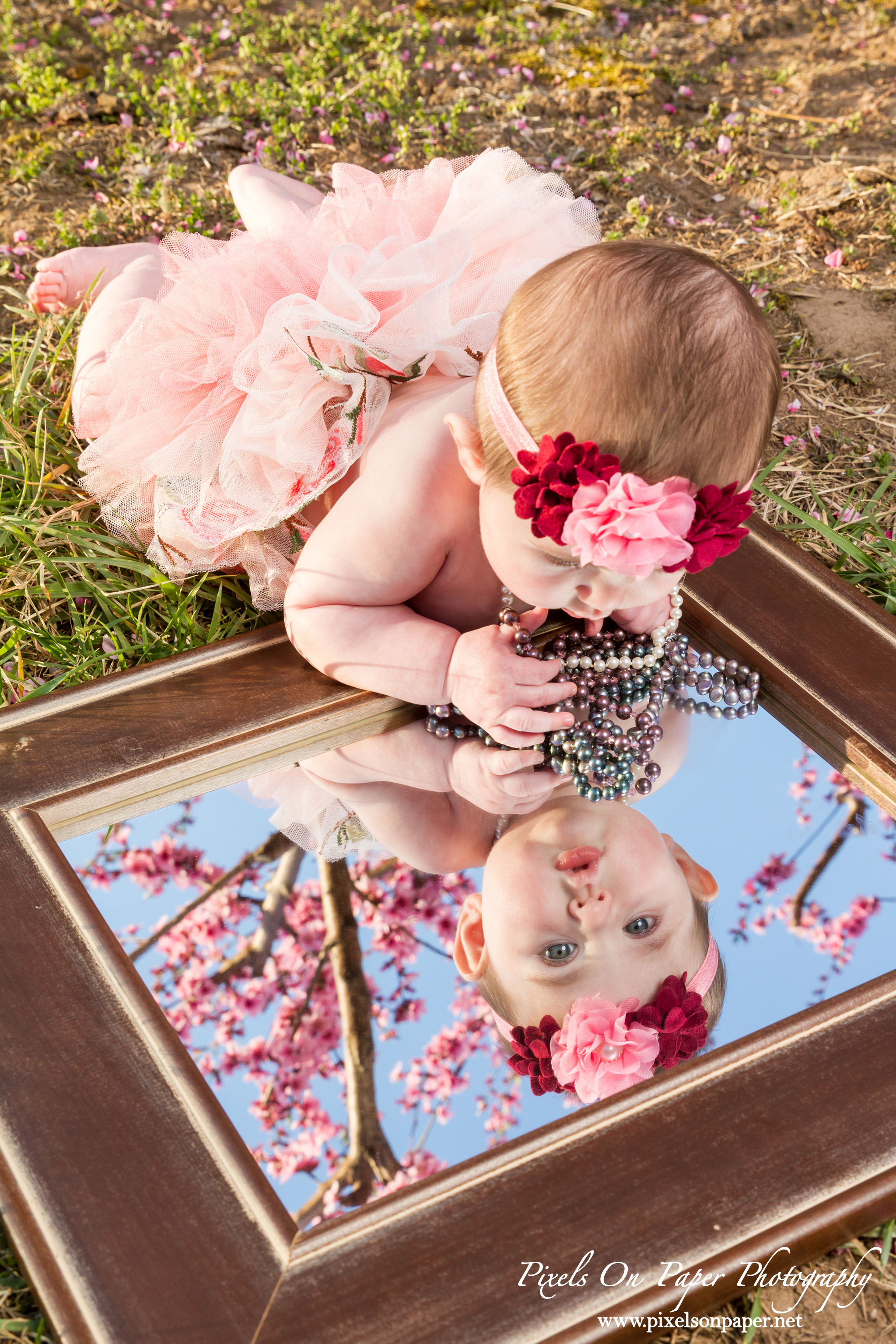 pixels on paper photographers baby senter family outdoor peach orchard portrait photo