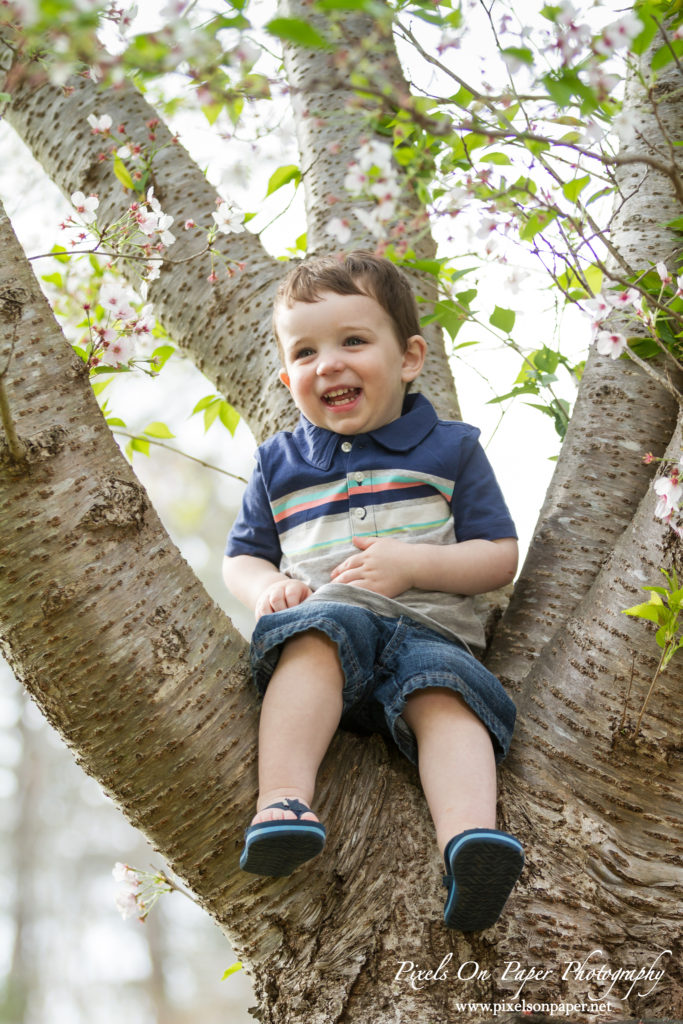 pixels on paper photographers two year old boy outdoor portrait photo