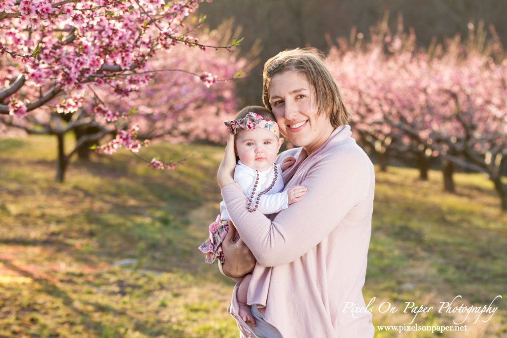 pixels on paper photographers baby senter family outdoor peach orchard portrait photo